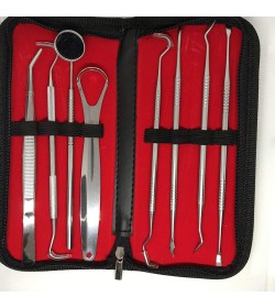 8 Pcs Dental Instruments Kit